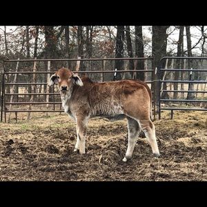 Meet your Posher, Kaitlyn